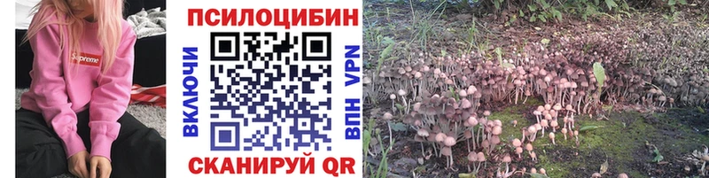 Галлюциногенные грибы GOLDEN TEACHER  Киреевск 