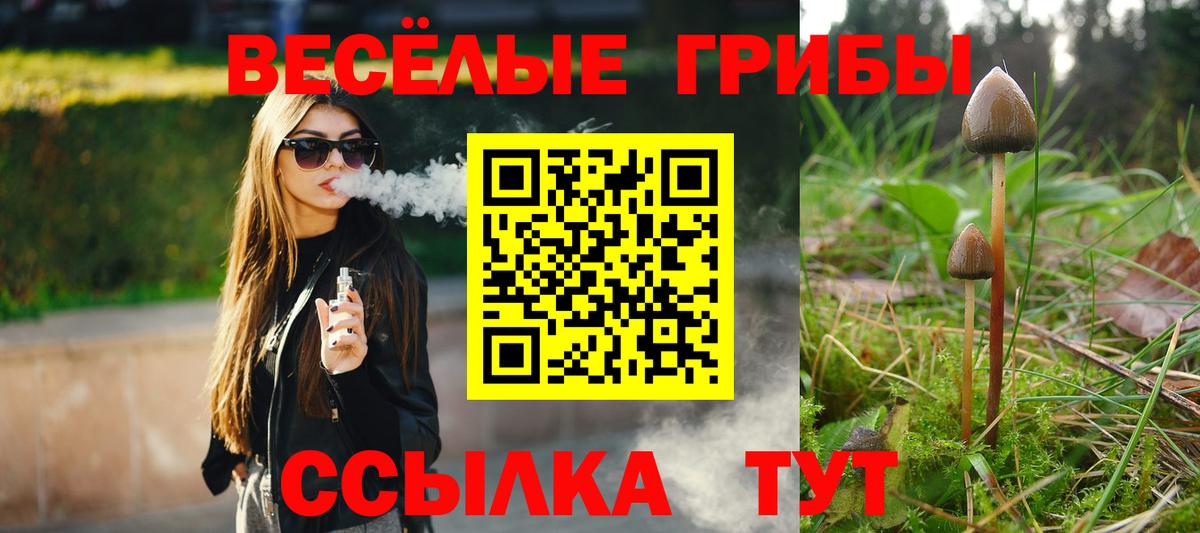 Псилоцибиновые грибы Magic Shrooms Киреевск