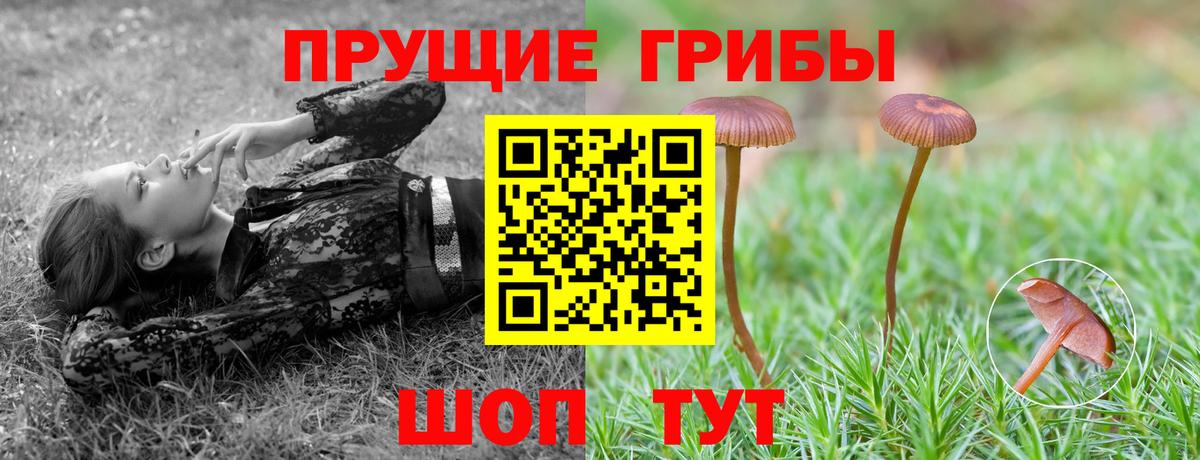 Киреевск  Псилоцибиновые грибы мицелий  Вход с VPN 